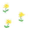 Dandelions