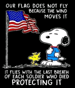 Snoopy and US flag