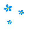 Forgetmenots