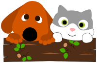 Dog and Cat
